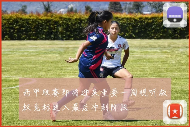 西甲联赛即将迎来重要一周视听版权竞标进入最后冲刺阶段