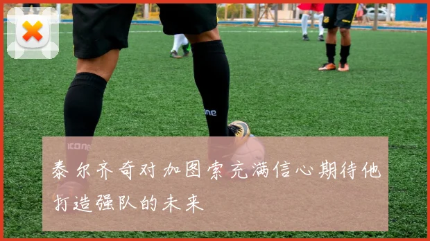 泰尔齐奇对加图索充满信心期待他打造强队的未来