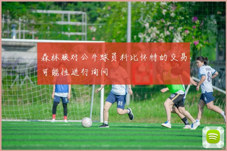 森林狼对公牛球员科比怀特的交易可能性进行询问